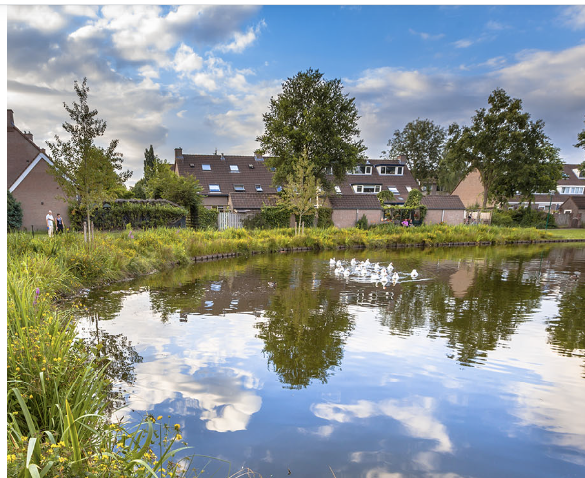 Bevinding evidence 1