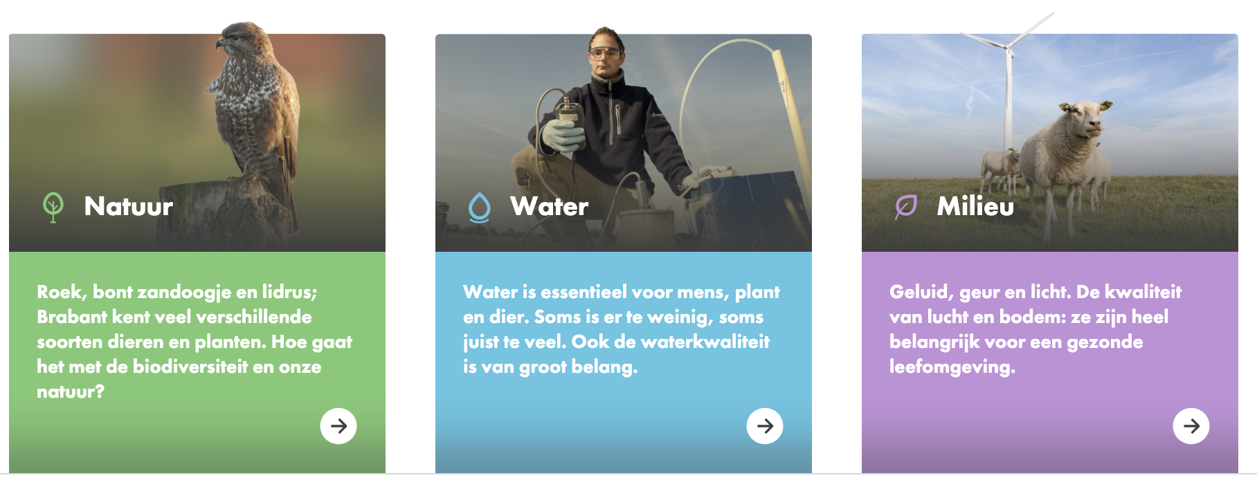 Bevinding evidence 1