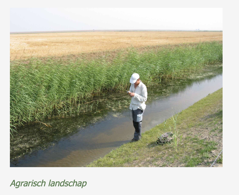 Bevinding evidence 1