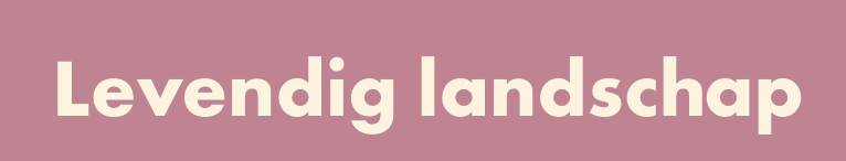 Bevinding evidence 1