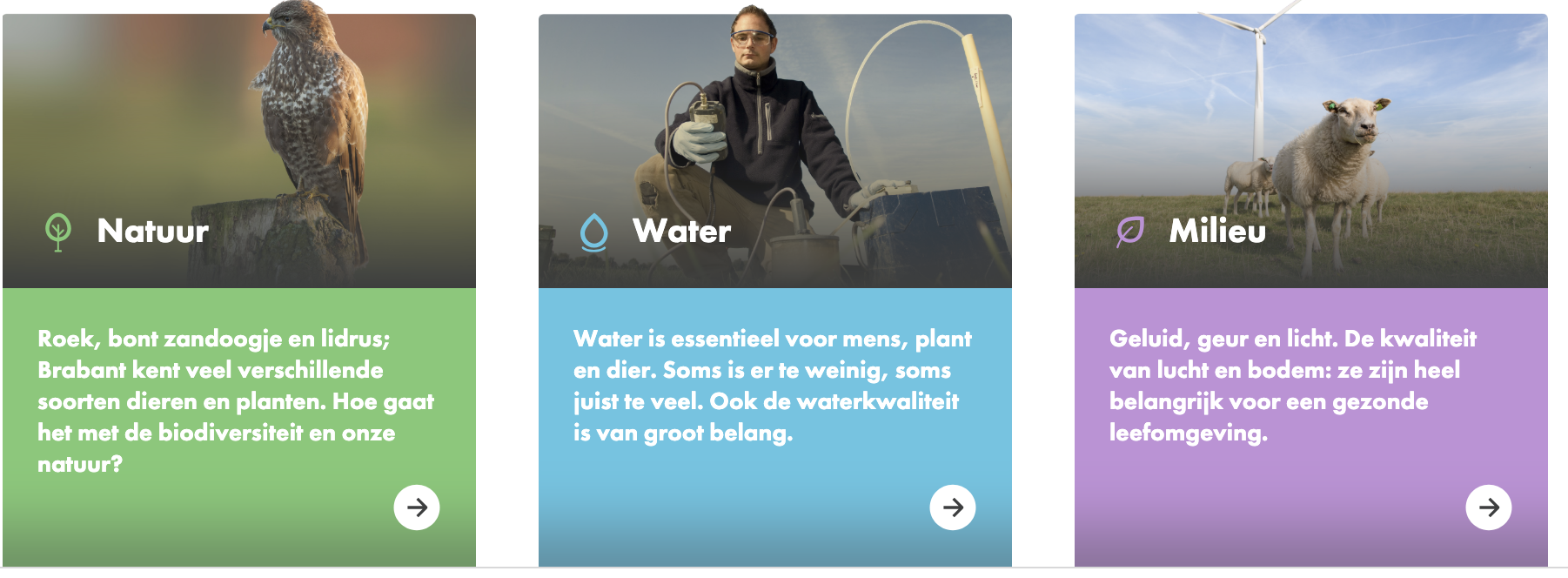 Bevinding evidence 1